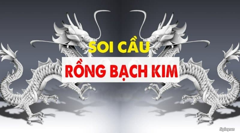 Soi cầu lô đề rồng bạch kim là gì?