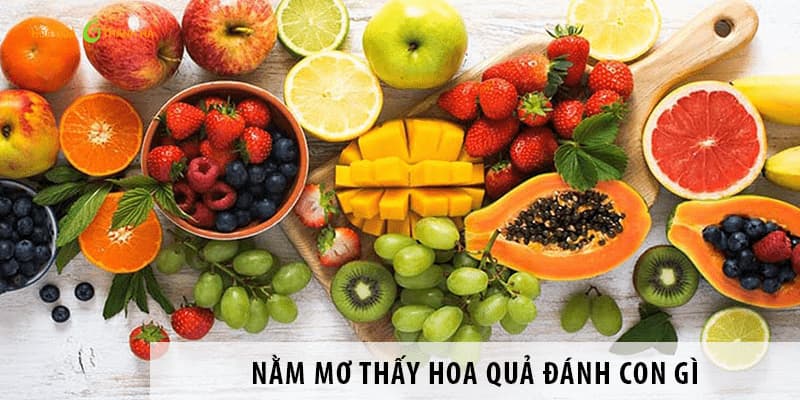 Mơ thấy ăn hoa quả mang ý nghĩa gì?