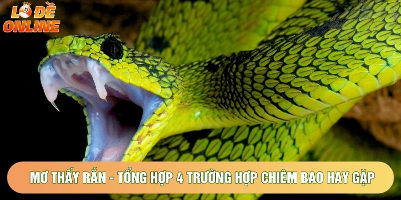 Mơ Thấy Rắn - Tổng Hợp 4 Trường Hợp Chiêm Bao Hay Gặp